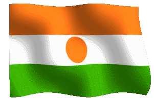 nigerflag